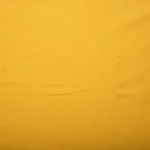 Knit - LACOSTE - Yellow
